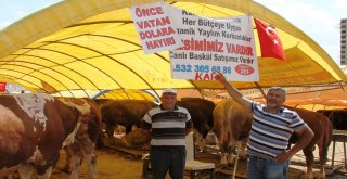 Kurban Satıcılarından Dolar Tepkisi