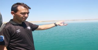 (Özel) Kurbağa Adamlar Su Altındaki Suçları Aydınlatıyor