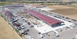 Çorumda Hayvan Pazarı 8 Ekimde Açılacak