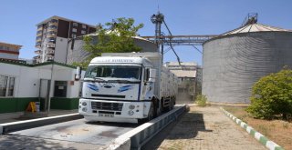 Çiftçiler, Tmonun Buğday Alımından Memnun