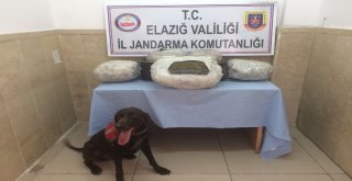 Trendeki 26 Kilo Esrarı Narkotik Köpekleri Buldu