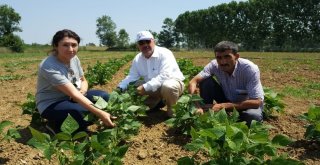 Çiftçilerin Ürünlerini Büyükşehir Kontrol Ediyor