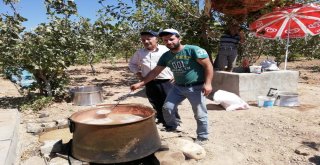 Eruhta Pekmez Yapımına Başlandı