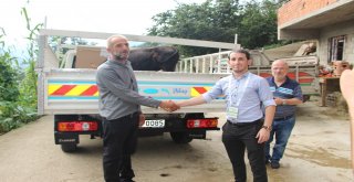 Yüzen Dana Ferdinand Yola Çıktı