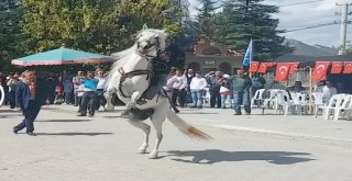 Tavşanlıda Göç Şenliği Gibi Sünnet Töreni