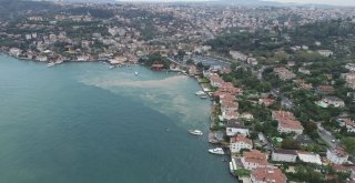 Çamura Bulanan Boğaz Havadan Görüntülendi