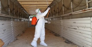 Kurbanlıklar Veteriner Kontrolüyle Batıya Sevk Ediliyor