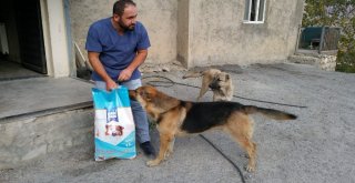 Hakkaride ‘4 Ekim Hayvanları Korumu Günü Etkinlikleri