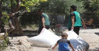 Suriyeli Ailelere İnek Ve Koyun Desteği