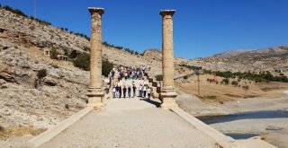 Tarihi Cendere Köprüsünde Yürüyüş Yapıldı