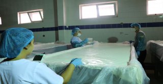 (Özel Haber) Ezine Peynirinin Sırrı Otlayan Koyun, Keçi Ve İneklerde Gizli