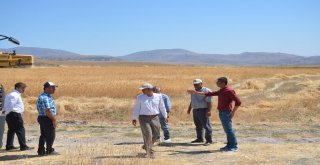 Arguvanda Sarı Bursa Buğdayı Ekildi