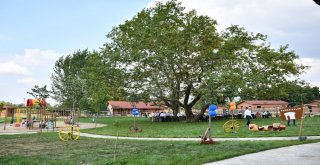 Şekibe İnsel Doğal Yaşam Çiftliği Törenle Açıldı