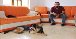 Hırsızlardan Kurtulup 112Ye Sığınmış