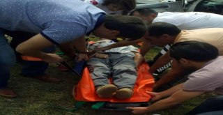 Samsunda Trafik Kazası: 1 Ölü, 2 Yaralı