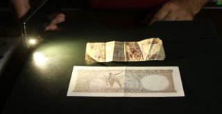 Ispartalı Esnafın Pahalı Hobisi