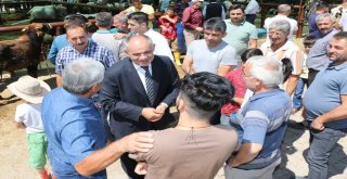 Başkan Öztürk Kurban Pazarını Ziyaret Etti
