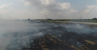 Çukurovada Mısır Hasadıyla Birlikte Anız Yangınları Da Başladı