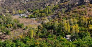 Gümüş Şehir Altın Rengine Büründü