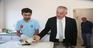 Minikler Sokak Hayvanlarının Kalp Atışlarını Dinledi