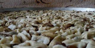 (Özel) Köylüler İmece Usulü Külliye Yapıyor