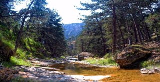 Doğaseverler Tokalı Kanyonu 7. Kez Geçtiler