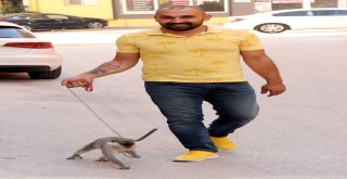 Adıgüzel, Maymununa 1,5 Ay Sonra Kavuştu