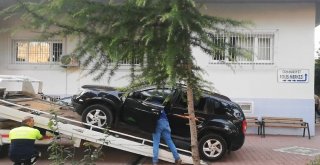 Bafrada Nefes Kesen Kovalamaca