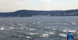 Türkiye Milli Olimpiyat Komitesi Tarafından Boğaziçi Kıtalararası Yüzme Yarışının Bu Yıl 30Uncusu Gerçekleşti