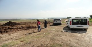 Tarsus Belediyesinin Kokuyla Mücadelesi Devam Ediyor