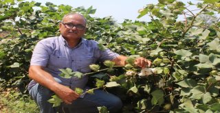 (Özel) Kuru Üzümün Zorlu Yolculuğu