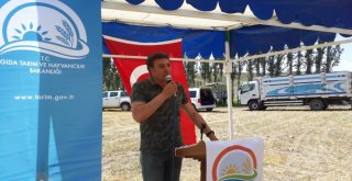 Arı Otu Ve Süt Otu Tarla Günü Düzenlendi