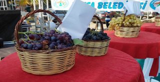 Hassa 2. Üzüm Festivali