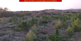 Diyarbakırda Teröre Ve Finans Kaynağına Bir Darbe Daha