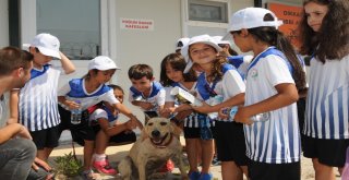 Çocuklara Yaz Okulunda Rüya Gibi Tatil