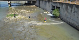 Similium İle Biyolojik Mücadele Başarılı Geçti