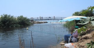 Kumköy Deresi Tehlike Saçıyor