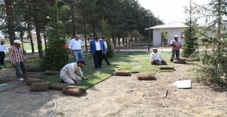 Göletli Parkta Yeşillendirme Çalışması