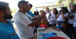 Öğrenciler Doğada Bilimle Buluştu