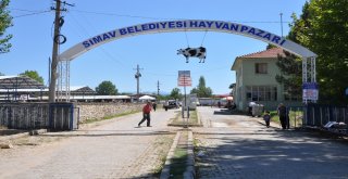 Kurban Pazarı Hareketlendi