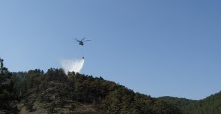 Kütahyadaki Orman Yangını  Kontrol Altına Alındı