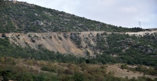 Cam Seyir Terasına Kır Lokantası Yapılacak, Yolu Ağaçlandırılacak