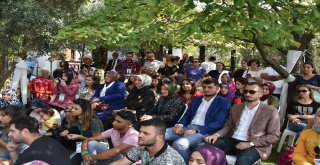 Arda Türkmen Zeytin Festivaline Konuk Oldu