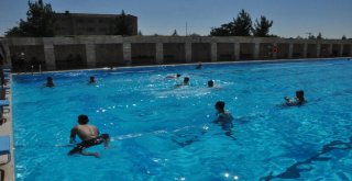 Bin 200 Çocuk Ve Genç Serinlemek İçin Olimpik Havuza Gidiyor