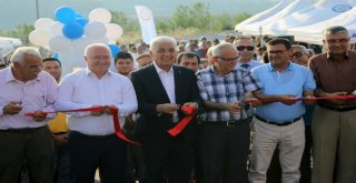 Geçici Hayvan Bakımevi Hizmete Açıldı