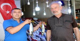 Balıkçılar Palamudun Yolunu Gözlüyor