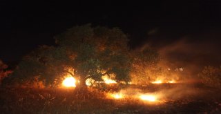 Bodrumda Alevli Gece Mahalle Sakinleri Korku Dolu Anlar Yaşadı