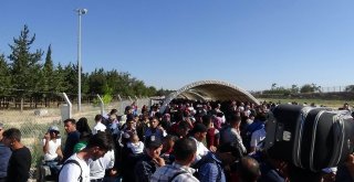 11 Bin Suriyeli Kurban Bayramı İçin Ülkesine Gitti