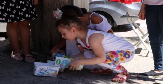 Miniklerden Sokak Hayvanları İçin Anlamlı Proje