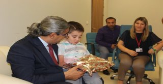 Vanda 4Üncü Kattan Düşen Çocuk Hayata Tutundu